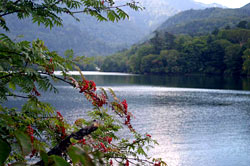 湯ノ湖